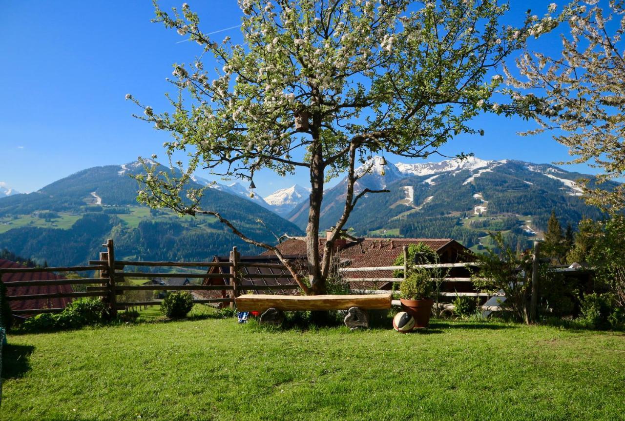 Appartements Rettensteiner Schladming Eksteriør bilde